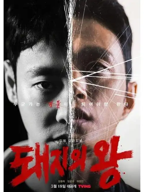 王牌对王牌综艺海报-飘雪漫画高清播放